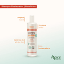 Kit África Baobá - Shampoo e Condicionador Restaurador 300ml Apse