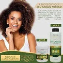 Kit Pós Química Abacate The Class 1L - EXCLUSIVO PROFISSIONAL