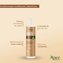 Kit Shampoo E Condicionador Crespo Power 300ml Apice