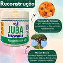 Juba Máscara Reconstrutora Condicionante Widi Care 500g