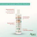 Kit África Baobá - Shampoo, Condicionador e Máscara 300ml Apice Apse